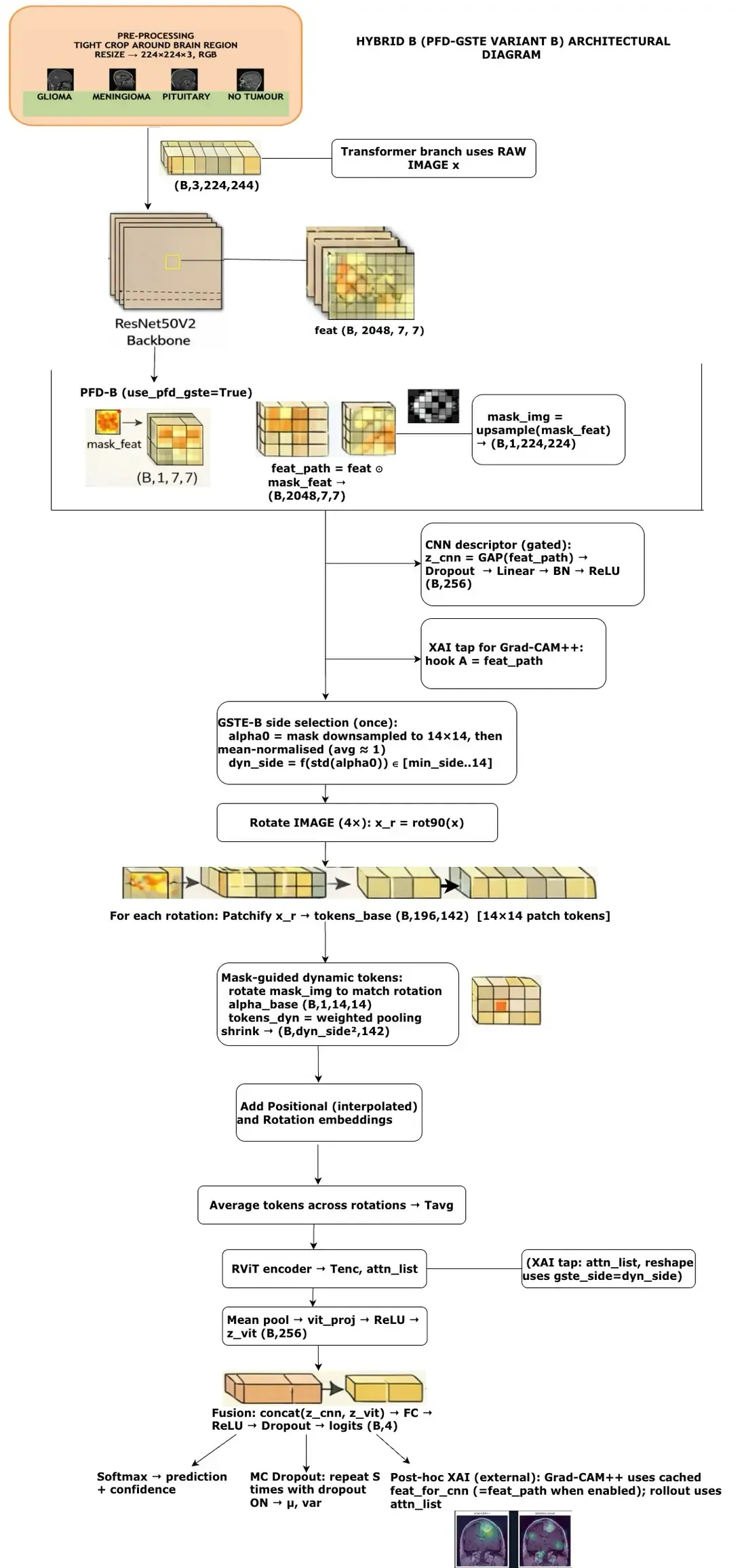 Hybrid B architecture showing PFD-gated CNN evidence, 196 raw-image patch tokens, GSTE guidance, optional dynamic weighted pooling, RViT processing, and late fusion.